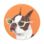 Dog Pop Socket