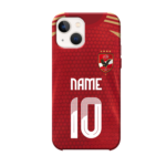 Ahly SC Case